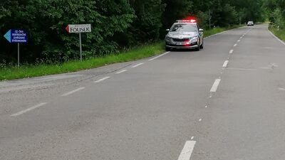 kliknutím zvětšíte II/121 odb. Štědronín Plazy