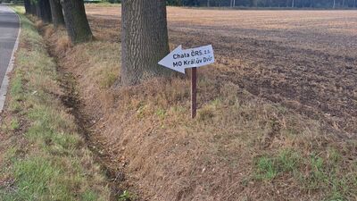 kliknutím zvětšíte III/12117 začátek lesa