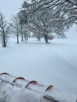 Jižní Čechy pod sněhovou nadílkou